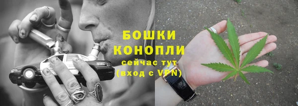 PSILOCYBIN Белоозёрский
