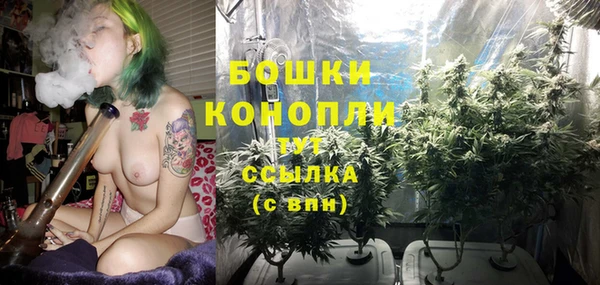 mix Богородск