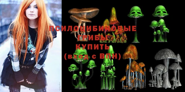 спайс Белокуриха