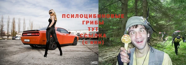 бошки Богородицк