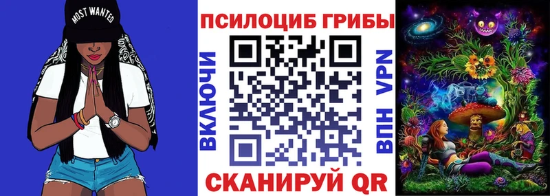 Псилоцибиновые грибы Psilocybine cubensis  Острогожск 